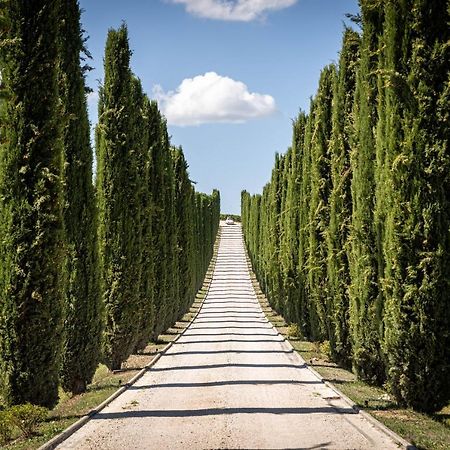 Torre del ColleFattoria Colsanto别墅 外观 照片