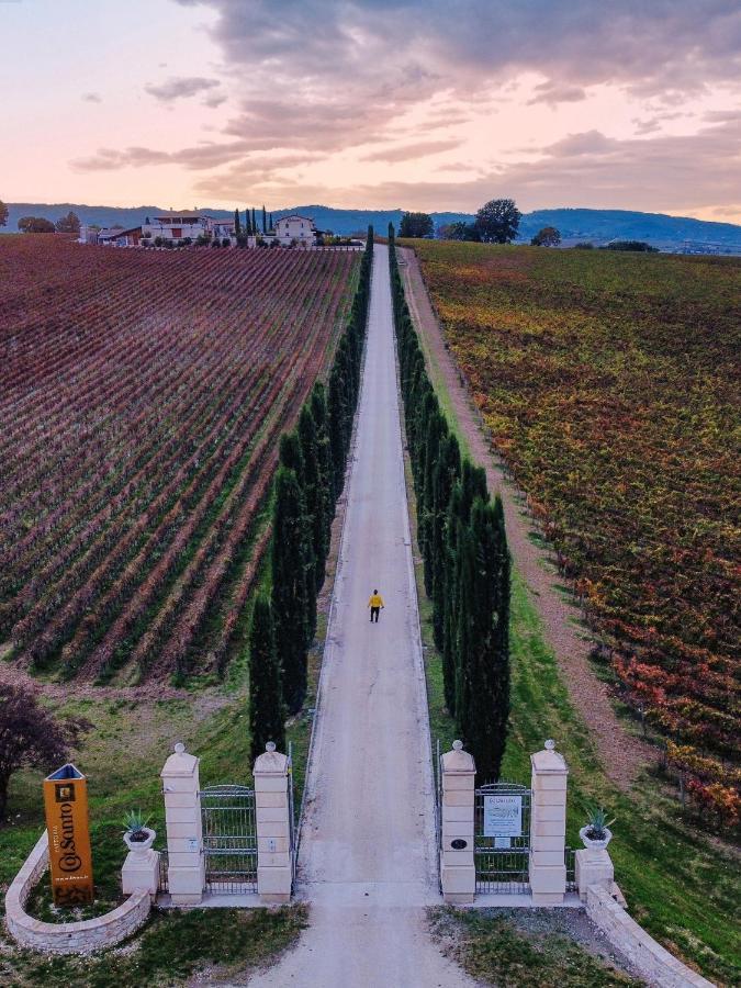 Torre del ColleFattoria Colsanto别墅 外观 照片