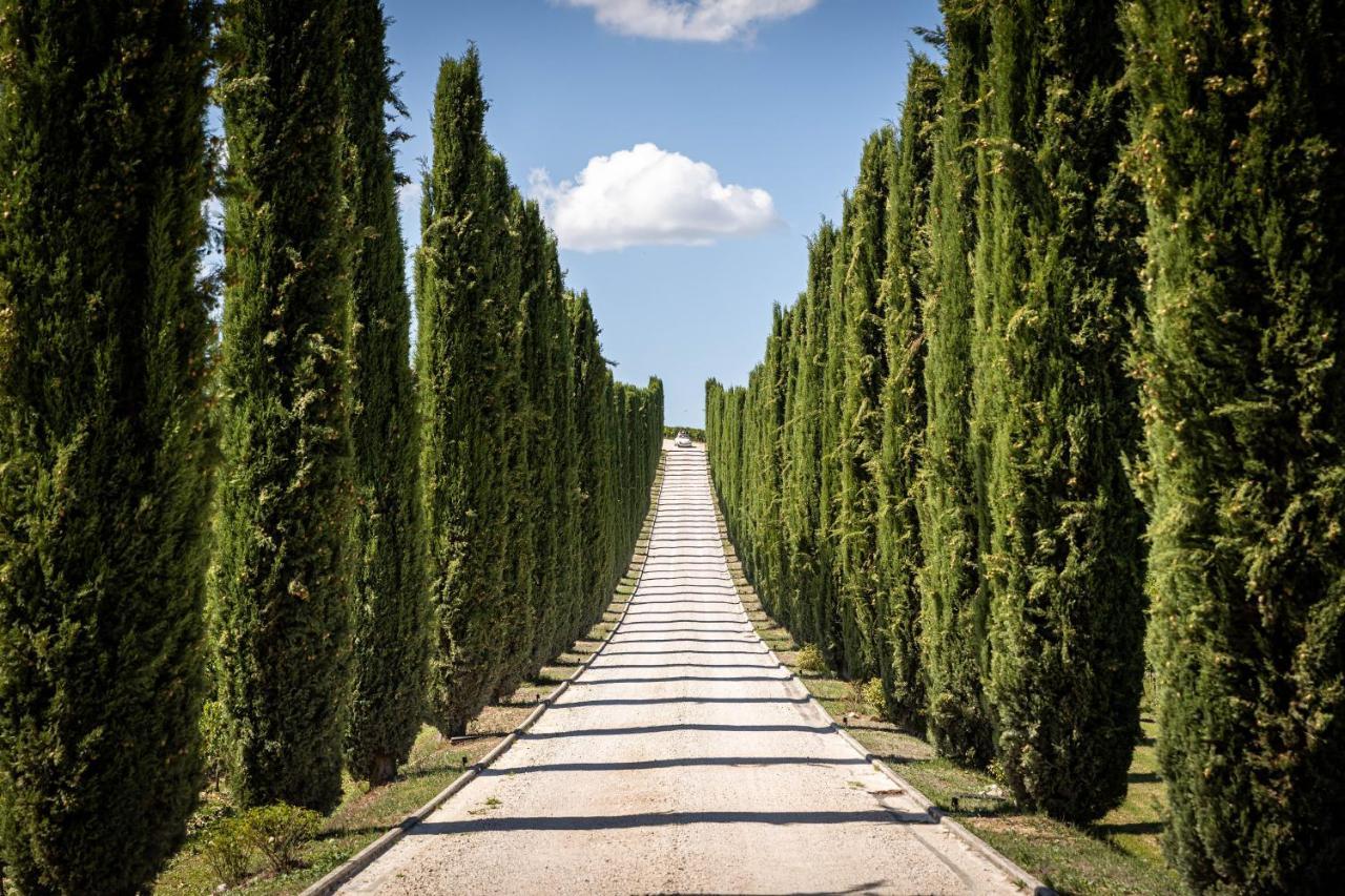 Torre del ColleFattoria Colsanto别墅 外观 照片