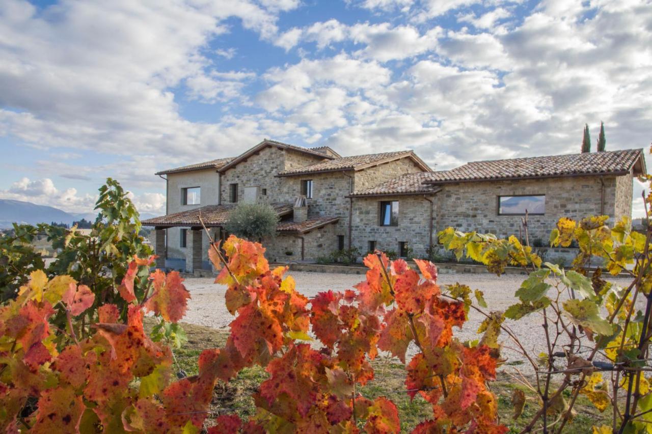 Torre del ColleFattoria Colsanto别墅 外观 照片