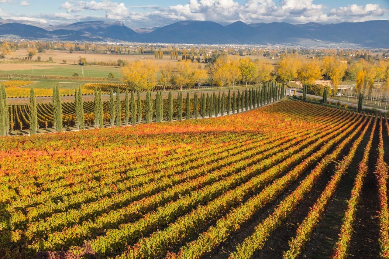 Torre del ColleFattoria Colsanto别墅 外观 照片